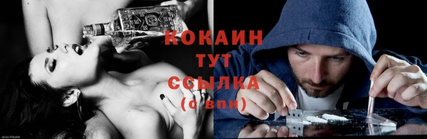 спиды Алзамай