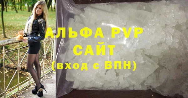 спиды Алзамай
