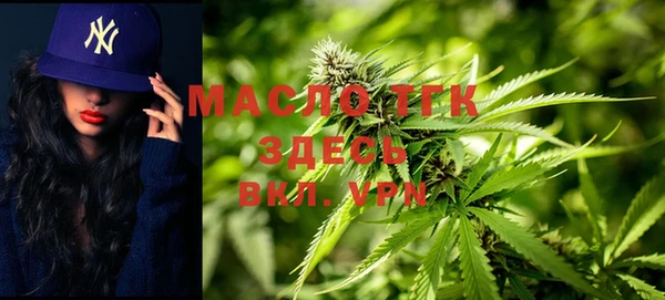 дмт Алексин