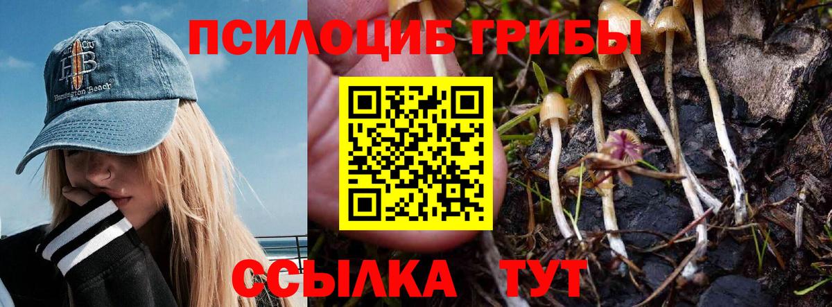 Галлюциногенные грибы ЛСД  Вход с VPN  Нижний Новгород 